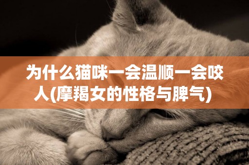 為什么貓咪一會溫順一會咬人(摩羯女的性格與脾氣) 