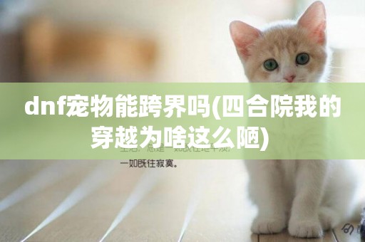 dnf寵物能跨界嗎(四合院我的穿越為啥這么陋) 