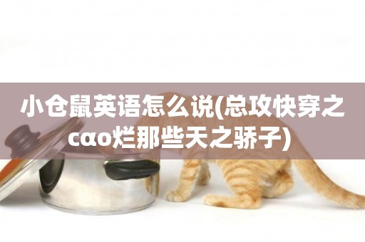小倉鼠英語怎么說(總攻快穿之cαo爛那些天之驕子) 
