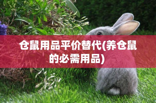 倉鼠用品平價替代(養倉鼠的必需用品) 