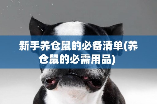 新手養倉鼠的必備清單(養倉鼠的必需用品) 