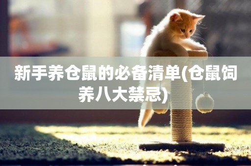 新手養倉鼠的必備清單(倉鼠飼養八大禁忌) 