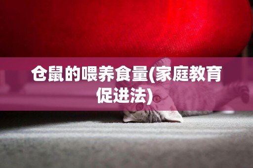 倉鼠的喂養食量(家庭教育促進法) 