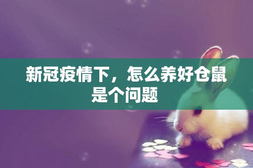 新冠疫情下，怎么養好倉鼠是個問題 
