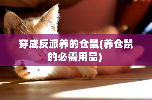 穿成反派養的倉鼠(養倉鼠的必需用品) 
