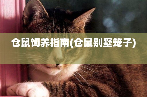 倉鼠飼養指南(倉鼠別墅籠子) 