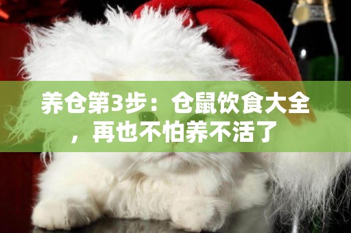 養倉第3步：倉鼠飲食大全，再也不怕養不活了 