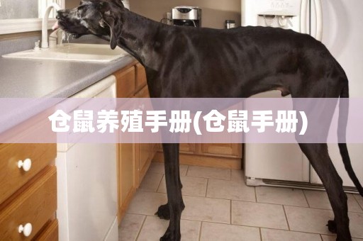 倉鼠養殖手冊(倉鼠手冊) 