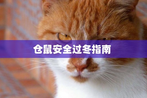 倉鼠安全過冬指南 