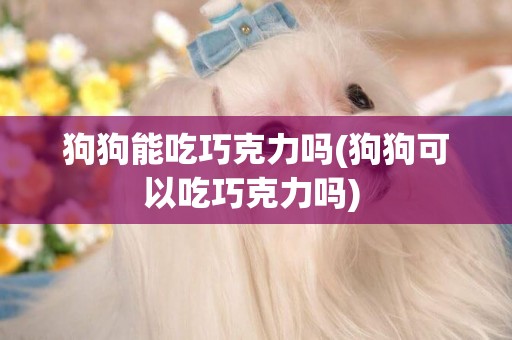 狗狗能吃巧克力嗎(狗狗可以吃巧克力嗎) 