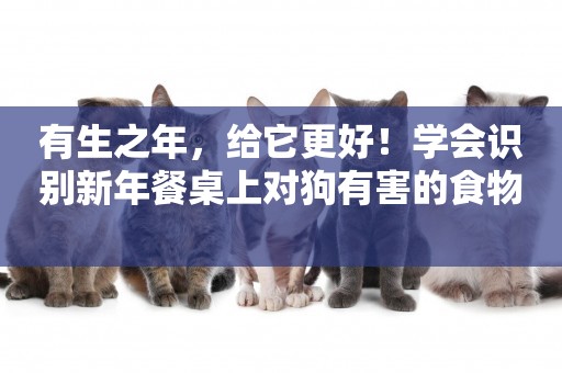 有生之年，給它更好！學會識別新年餐桌上對狗有害的食物 