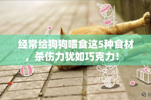 經常給狗狗喂食這5種食材，殺傷力猶如巧克力！ 