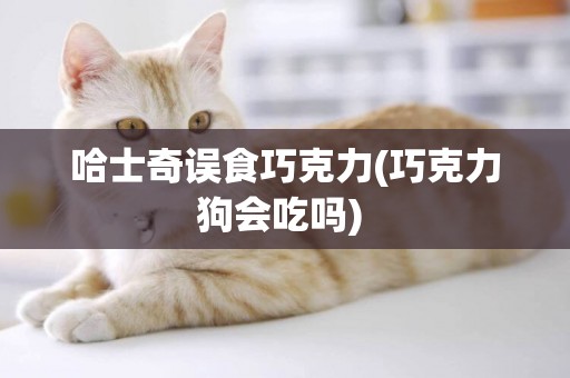哈士奇誤食巧克力(巧克力狗會吃嗎) 