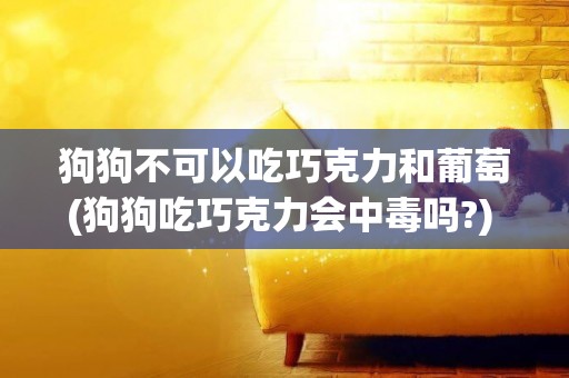 狗狗不可以吃巧克力和葡萄(狗狗吃巧克力會中毒嗎?) 