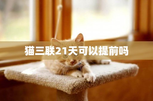 貓三聯21天可以提前嗎