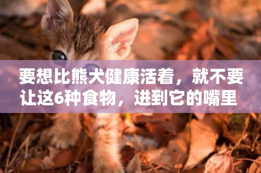 要想比熊犬健康活著，就不要讓這6種食物，進到它的嘴里 