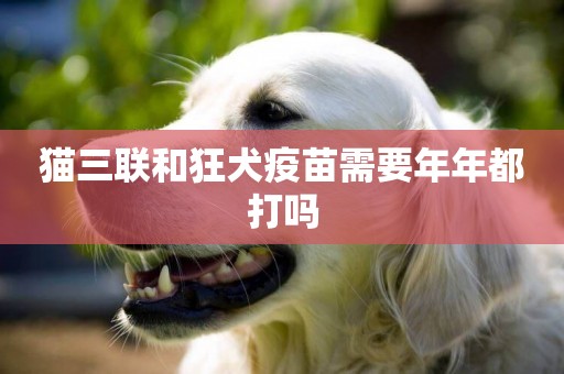 貓三聯和狂犬疫苗需要年年都打嗎
