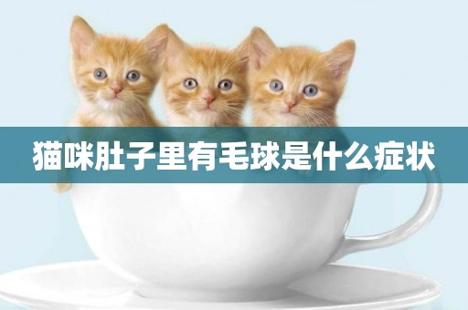 貓咪肚子里有毛球是什么癥狀