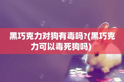黑巧克力對狗有毒嗎?(黑巧克力可以毒死狗嗎) 