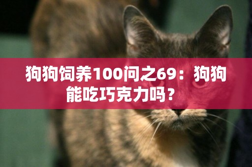 狗狗飼養100問之69：狗狗能吃巧克力嗎？ 