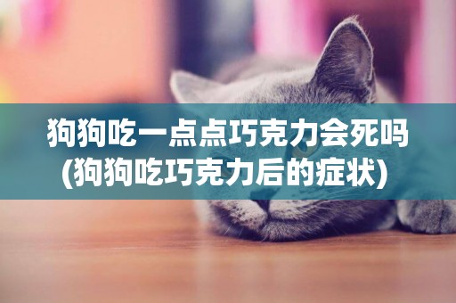 狗狗吃一點點巧克力會死嗎(狗狗吃巧克力后的癥狀) 