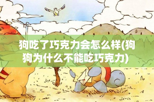 狗吃了巧克力會怎么樣(狗狗為什么不能吃巧克力) 