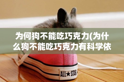 為何狗不能吃巧克力(為什么狗不能吃巧克力有科學依據嗎) 