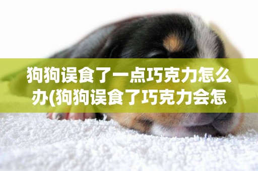 狗狗誤食了一點巧克力怎么辦(狗狗誤食了巧克力會怎么樣) 