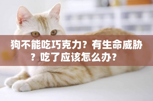 狗不能吃巧克力？有生命威脅？吃了應該怎么辦？ 