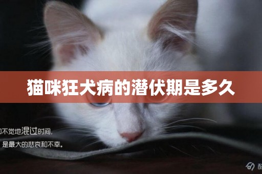 貓咪狂犬病的潛伏期是多久