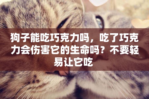 狗子能吃巧克力嗎，吃了巧克力會傷害它的生命嗎？不要輕易讓它吃 