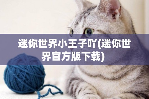 迷你世界小王子吖(迷你世界官方版下載) 