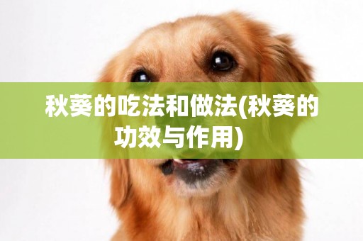 秋葵的吃法和做法(秋葵的功效與作用) 