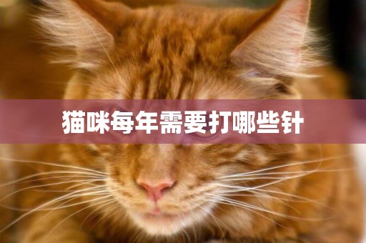 貓咪每年需要打哪些針