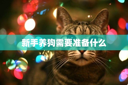 新手養狗需要準備什么
