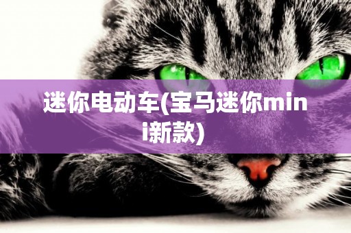 迷你電動車(寶馬迷你mini新款) 