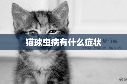 貓球蟲病有什么癥狀