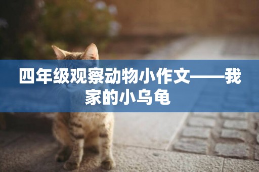 四年級觀察動物小作文——我家的小烏龜 