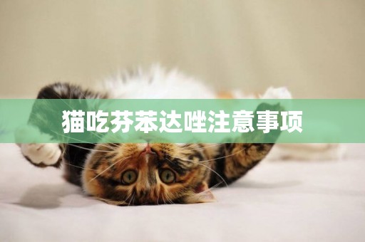 貓吃芬苯達唑注意事項