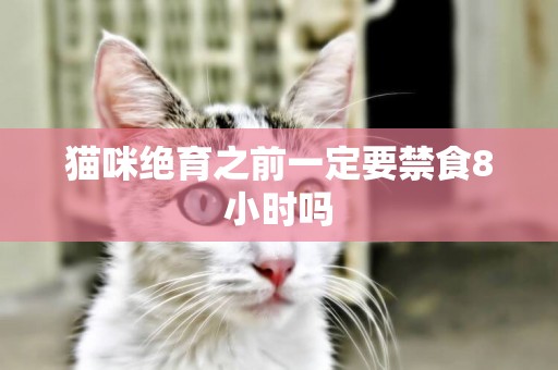 貓咪絕育之前一定要禁食8小時嗎