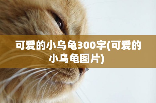 可愛的小烏龜300字(可愛的小烏龜圖片) 