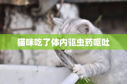 貓咪吃了體內驅蟲藥嘔吐
