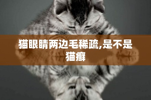 貓眼睛兩邊毛稀疏,是不是貓癬