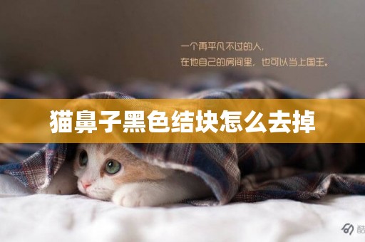 貓鼻子黑色結塊怎么去掉