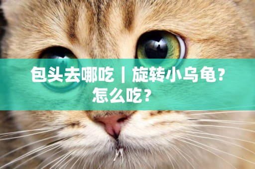 包頭去哪吃｜旋轉小烏龜？怎么吃？ 