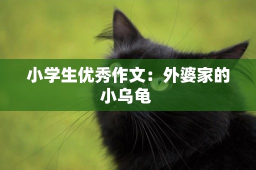 小學生優秀作文：外婆家的小烏龜 