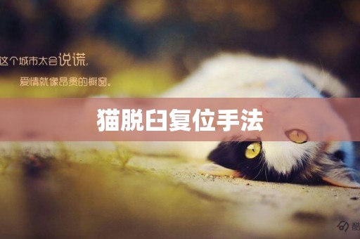 貓脫臼復位手法