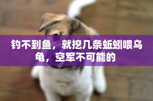 釣不到魚，就挖幾條蚯蚓喂烏龜，空軍不可能的 