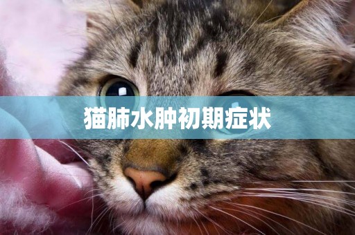 貓肺水腫初期癥狀