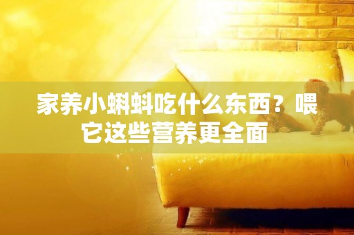 家養小蝌蚪吃什么東西？喂它這些營養更全面 